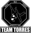 Team Torres Derry Logo
