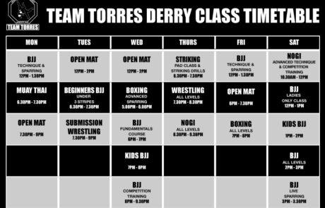 team_torres_class_timetable