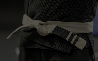 White_Belt_2_stripe